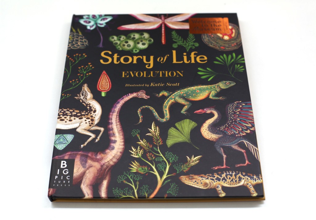 “Story of life: Evolution”, di Katie Scott, Big Picture Press 2015