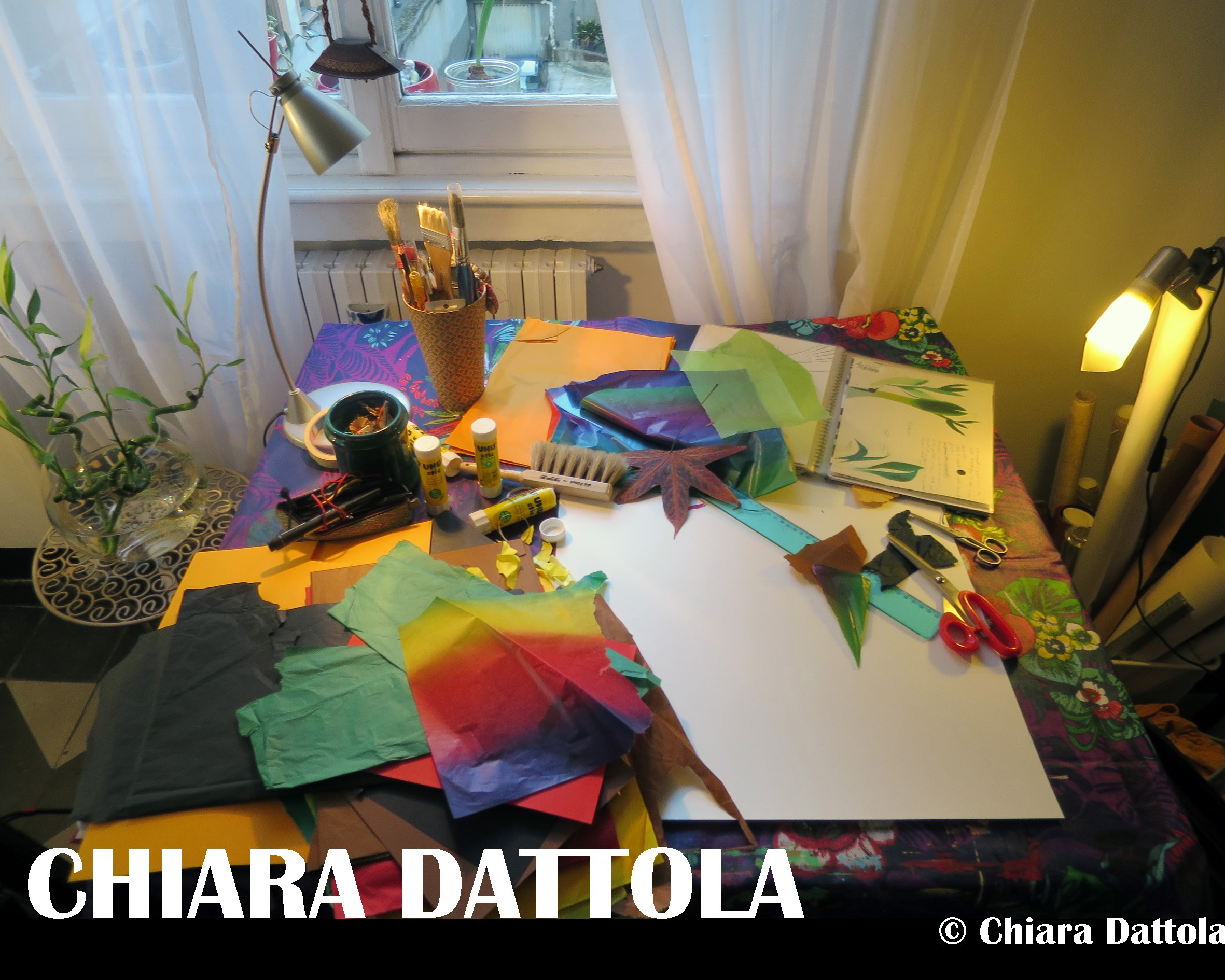 Chiara Dattola